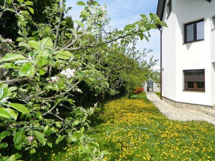 apartament in  Vila , 4 camere + teren 232 mp - 5