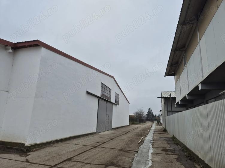 De inchiriat hala depozit - 3