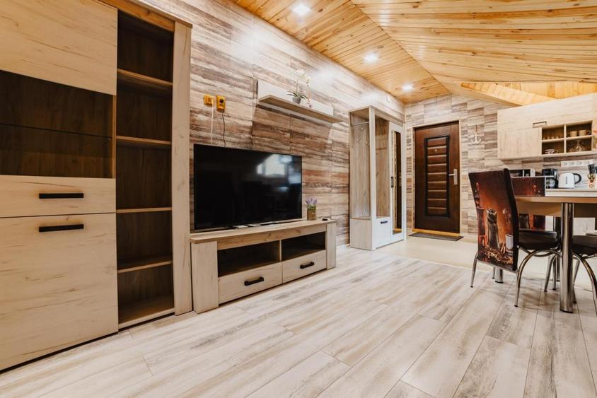 Oportunitate de business in turism. Guest house de inchiriat - 5