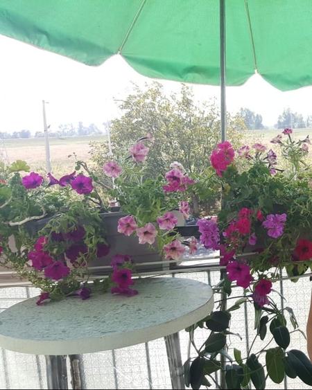 Apartament cu 3 camere de vanzare - 10