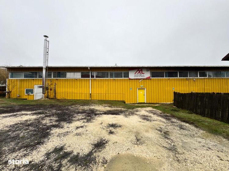 Exclusivitate pe piata: Hala industriala moderna in Campulung - Cartie - 2