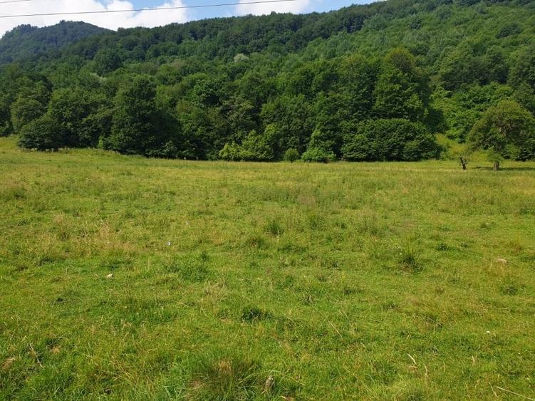 Oportunitate! -teren în zona  Pârâul Rece, Brașov - 5