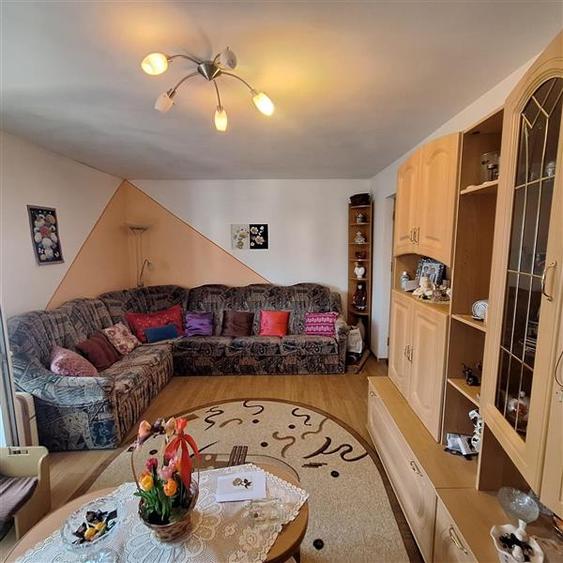 Bocsa, Apt.2 cam, Cf.1, Decom. Sala Sport MFA - 1