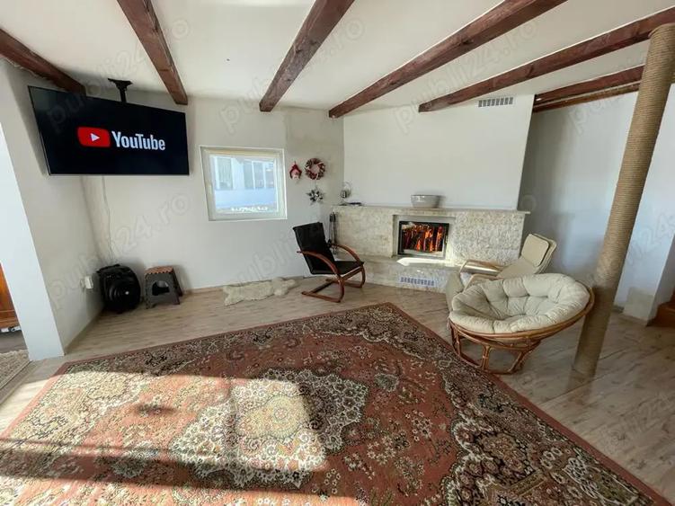 Vand cabana la Belis - 3