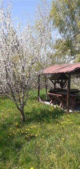Casa cu gradina, piscina  si alte facilitati, Tarlungeni, Brasov - 6