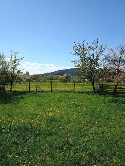 Teren de vanzare Frasin, Gura Humorului - 1