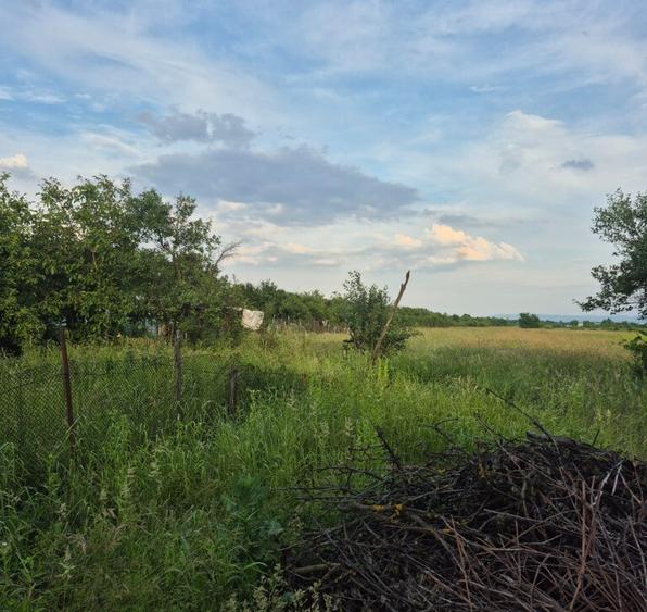 Bargau, casa 30 ari teren - 2