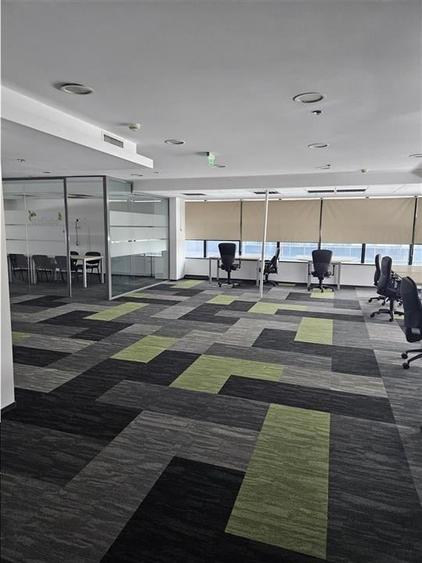 Spatii Birouri - 500 la 3500 mp - Parcul Sub Arini - 10