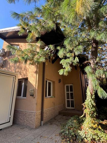 Vila ideala pentru sediu firma sau 2 familii - 27