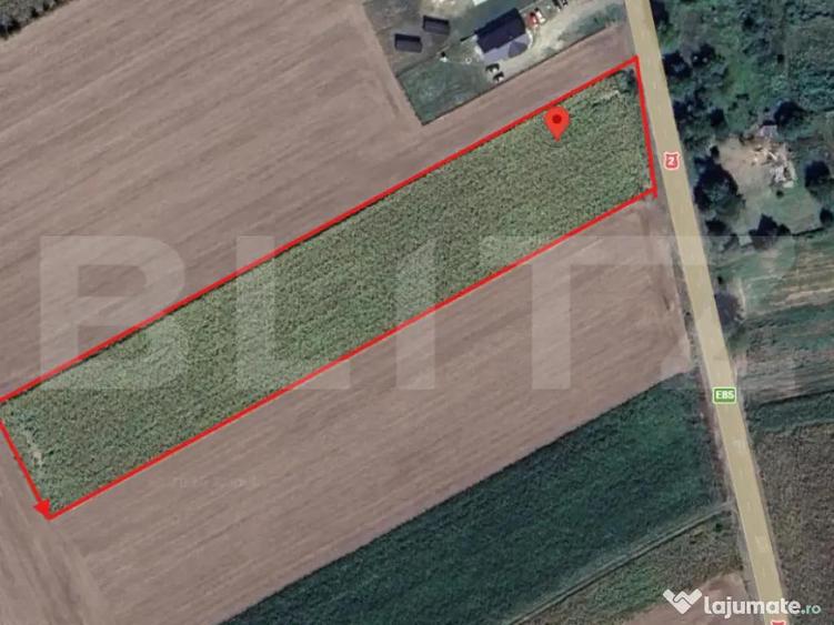 Teren intravilan 3.255 mp |deschidere la E85 | loc. Romane? - 1