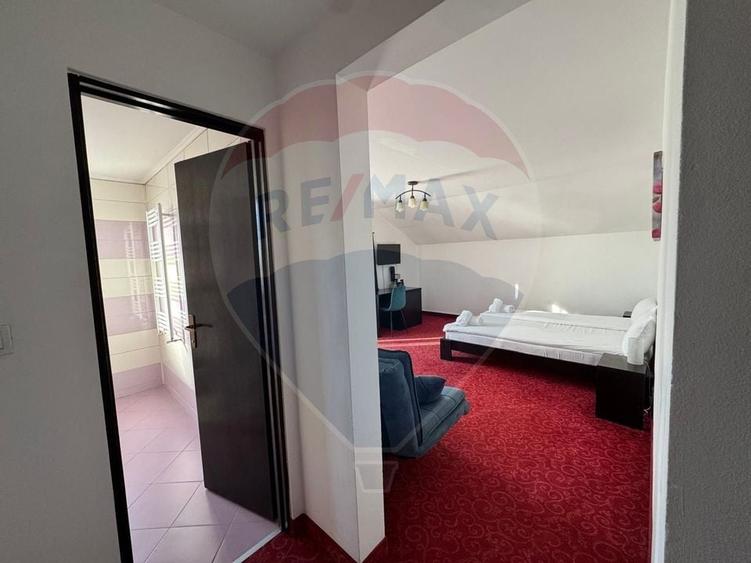 De vânzare apartament cu 1 cameră în Băile Felix - 4