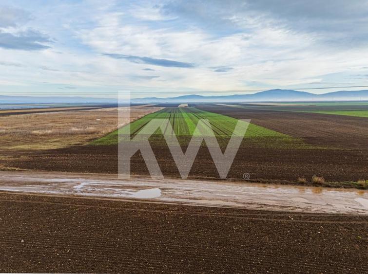 Teren exceptional pentru investitii industriale langa Brasov - 12