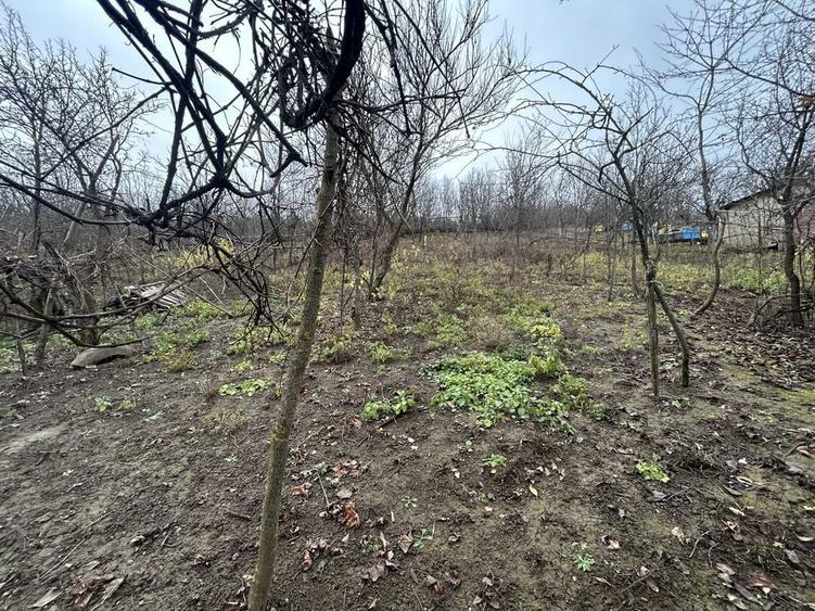 Vand casa batraneasca la 20km de Cluj+ 2400mp teren intravilan - 1