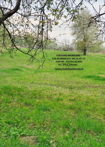 Teren intravilan Rediu, la 30 minute de oras, 4585 mp - 2