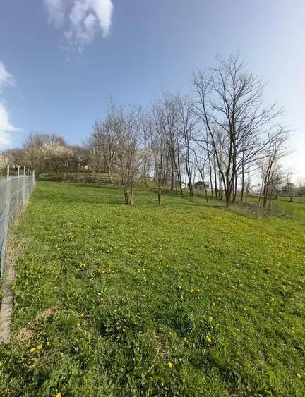 TEREN DE VANZARE -SULTANU,VISINESTI - 3