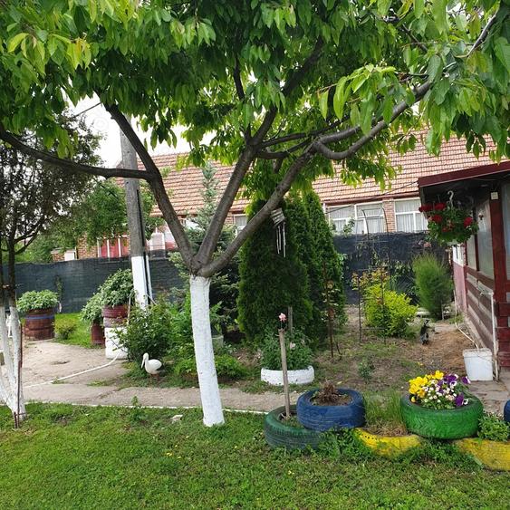 Vind casa in comuna Varias la 40 km de Timi?oara - 2