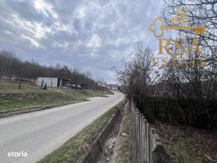 Vanzare teren 2100 mp, Mihaesti Barsesti, ideal casa sau investiti - 2