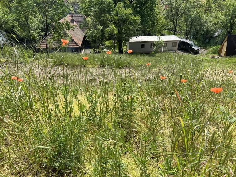 Vand casa cu teren ?i livada in Seini, cu priveli?te de poveste - 4