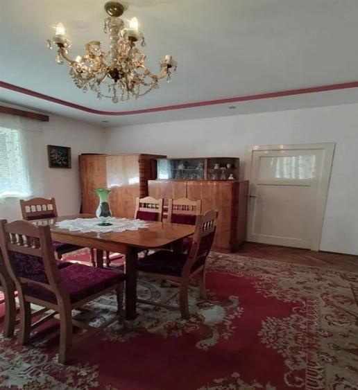 Casa P+M cu teren generos si loturi suplimentare in Baia de Cris - 5