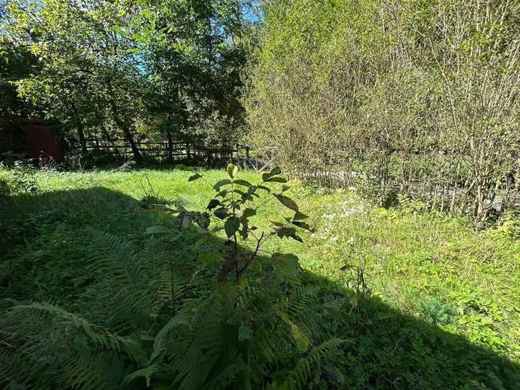 Cabana de vanzare, Valea Manastirii - Ramet - 7