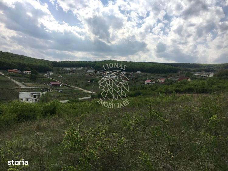 Teren intravilan 700 mp-ideal casa-Dealul Jelnei - 1