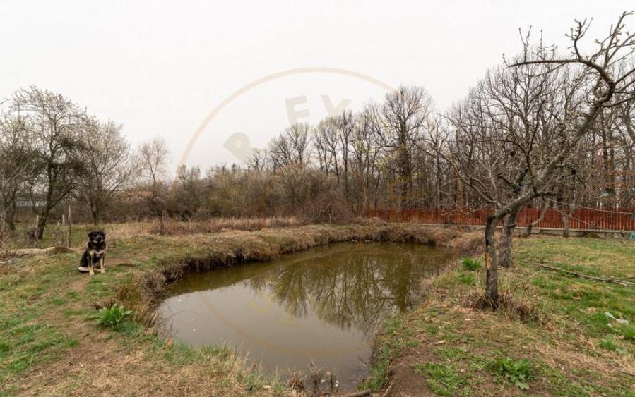 0% Comision !! CASA CU LAC SI PRIVELISTE SUPERBA SPRE PA - 4