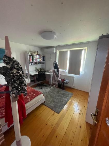 Vila ultracentral Pantelimon - 9