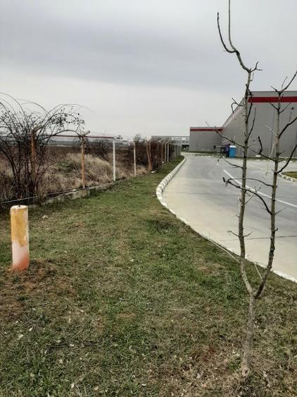 Teren, zona industriala, in Domnesti. Tarlaua 7, depozitele Logistics Park, A1 - 8