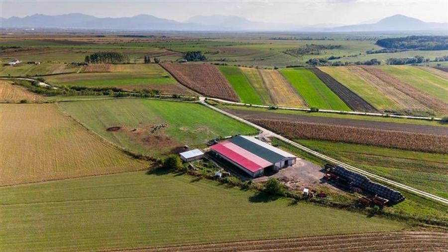 FILM! Zona extinsa, teren mixt,18.000 mp, ideal agro-investitii, Rotbav, Brasov - 14