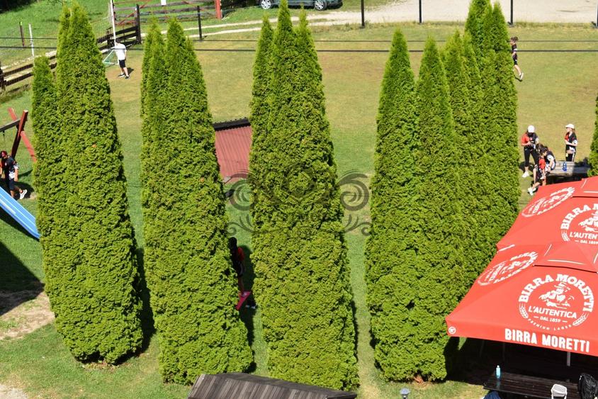 Pensiune superba  cu restaurant de vanzare in Moieciu - 5