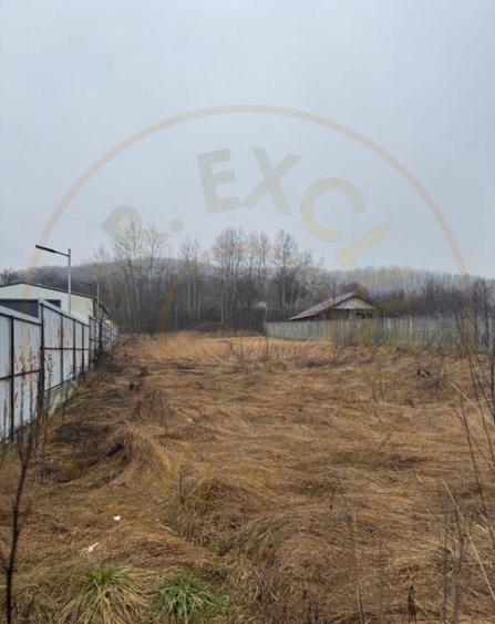 Teren 1758 mp DN7 - Prislopu Mare, Draganu! - 5