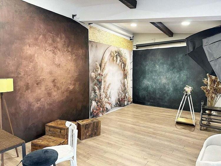 Casa spatioasa cu 482mp teren zona Sirul Canonicilor - 14