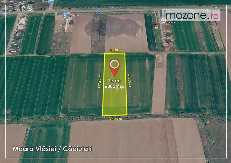 Teren Construcții intravilan de 6000 mp, în Căciulați