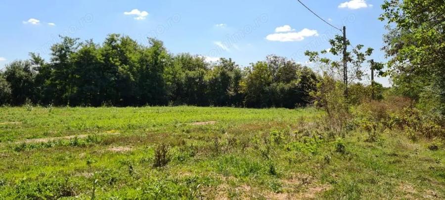 Vila Ialomita -Livedea lac - 13