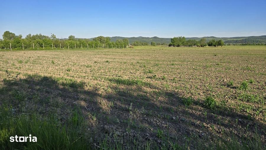Parcele teren intravilan in Ciceu Mihaiesti - 2900 mp si 2495 mp - 1