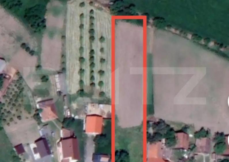 Teren intravilan de vanzare, 2800 mp, zona Doba - 1