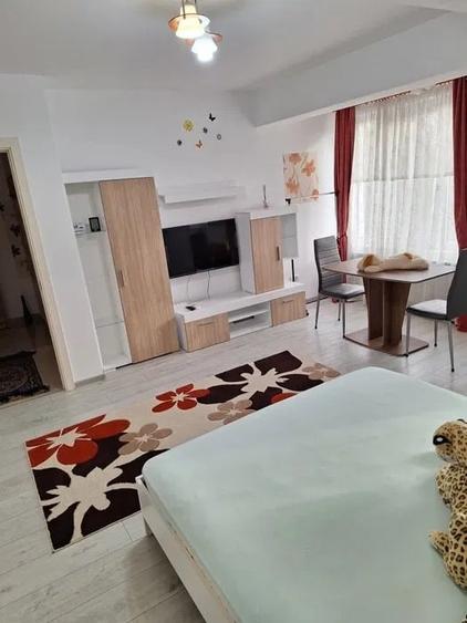 Apartament cu 1 cameră, decomandat, zona Podu Ros - 2