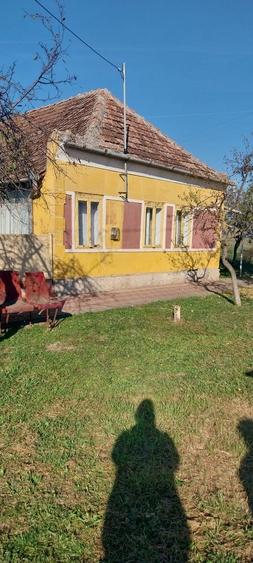 Casa de vanzare, 1711m2 50ooo euro - 2