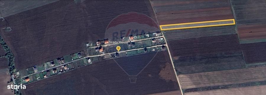 Teren Investitie 6300mp Sacele - 10m de Utilitati in Raza Soarelui - 3