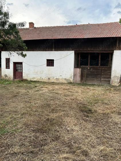 Vand casa in Sculia,Ora?ul Gataia,Jud Timi? (2158mp) - 1