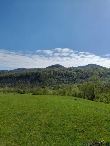 Vand teren intravilan 1632 mp in Poiana Sarata-Oituz - 4