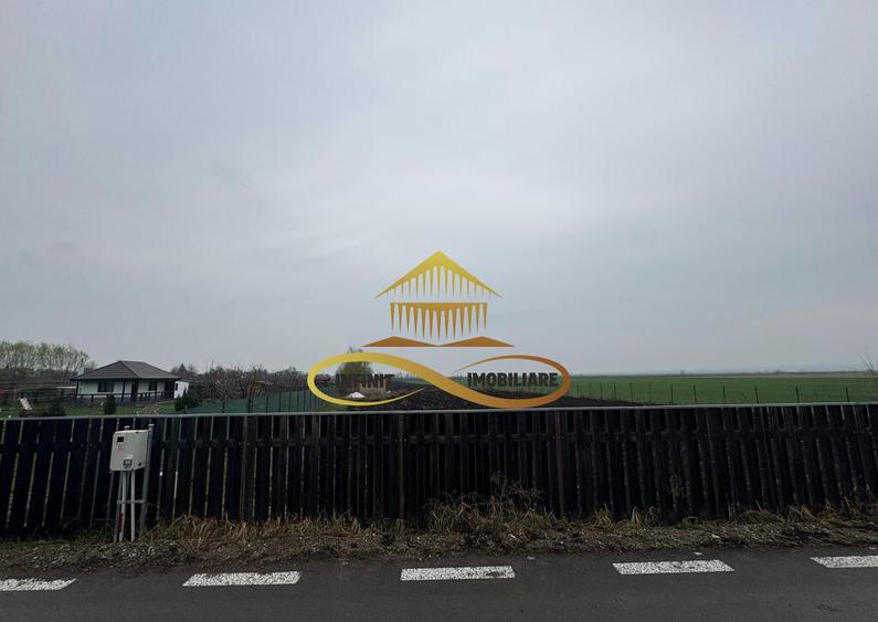 Teren de vanzare Filipesti Bacau 6838 mp - 14