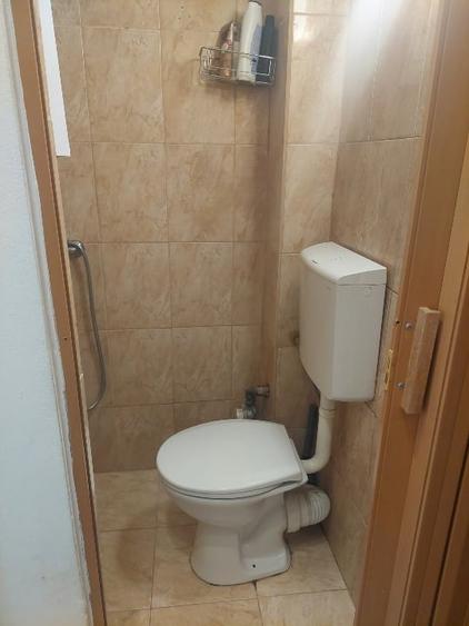 Garsonieră, mobilată în Buziașului
