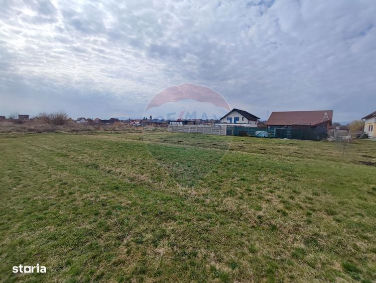 Teren de vanzare 1600 mp Sura Mica - 4