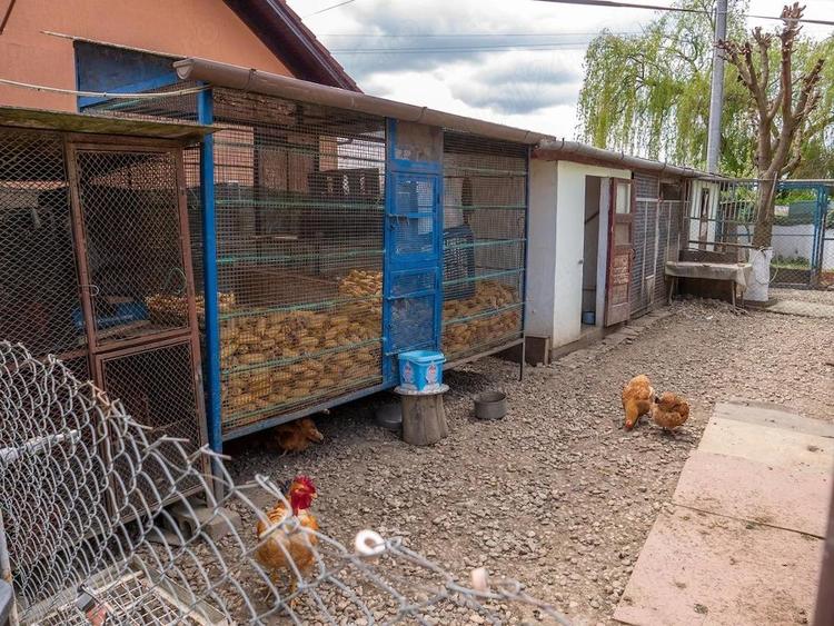 De vanzare: Casa impreuna cu Curte ?i Gradina, Garaj ?i Parcare | Ora?tie - 6