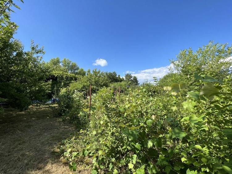 Casa-langa studiourile Buftea, 2 constructii, curte cu pomi, 2300mp, langa lac - 44