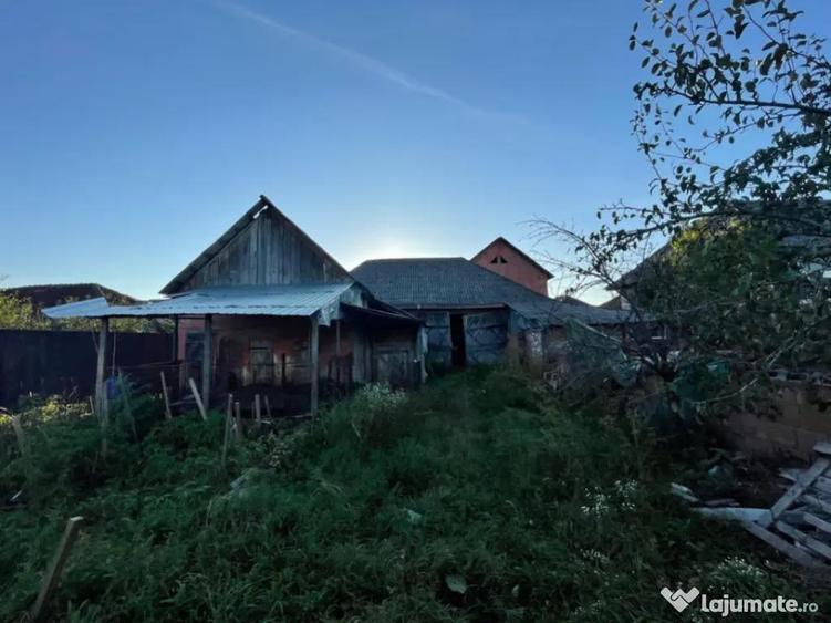 Investitie pentru liniste si oaza de verdeata - 11