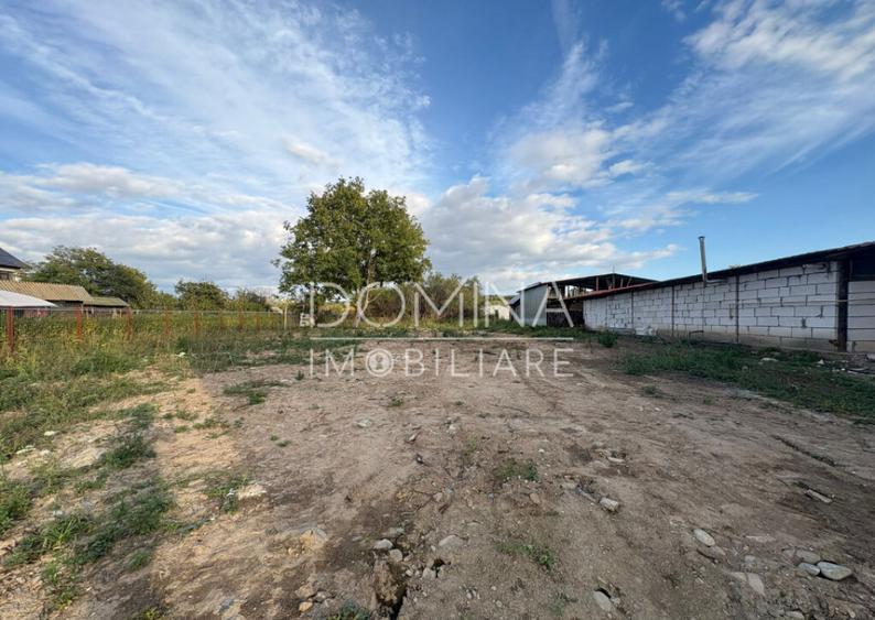 Teren 4449 mp cu utilitati, Curtisoara - la 13 km Tg. Jiu - 5