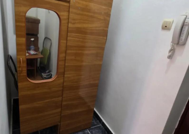 Garsoniera de vanzare, 19 mp, Strada Mihai Bravu - 3