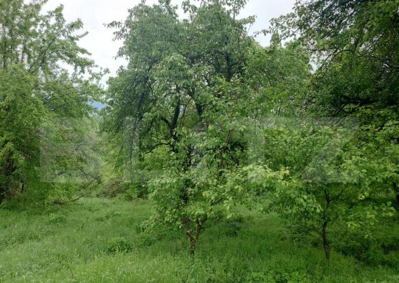 Teren intravilan Cucuteni - 2